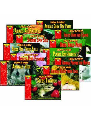 https://truimg.toysrus.com/product/images/how-&-why-12-book-nonfiction-science-readers-variety-pack--5F59F0A6.zoom.jpg