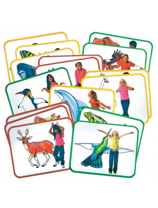 https://truimg.toysrus.com/product/images/roylco-body-poetry-animal-action-cards-set--B868D4D7.zoom.jpg