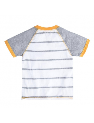 https://truimg.toysrus.com/product/images/burt's-bees-baby-white/grey-striped-henley-raglan-t-shirt-toddler--A82613FE.pt01.zoom.jpg