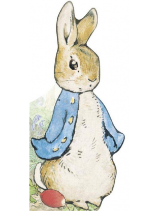 https://truimg.toysrus.com/product/images/peter-rabbit-all-about-peter-board-book--70386F4A.zoom.jpg