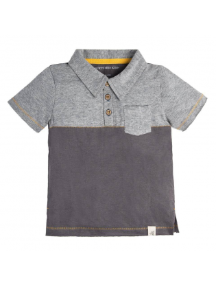 https://truimg.toysrus.com/product/images/burt's-bees-baby-grey-polo-t-shirt-toddler--96FF2812.zoom.jpg