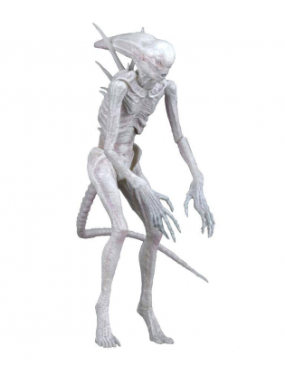 https://truimg.toysrus.com/product/images/neca-alien:-covenant-7-inch-scale-action-figure-neomorph--50EF361E.zoom.jpg