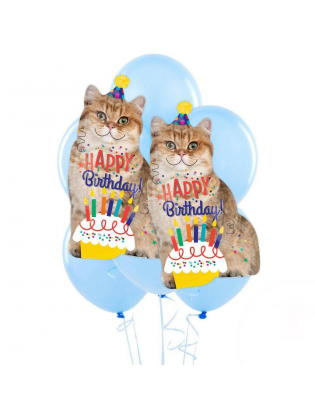 https://truimg.toysrus.com/product/images/birthday-cat-jumbo-party-balloon-bouquet--8A78DE68.zoom.jpg