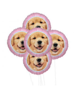 https://truimg.toysrus.com/product/images/rachael-hale-glamour-dogs-foil-party-balloon-kit-5-piece--04A8DE2D.zoom.jpg
