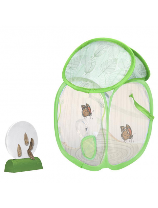 https://truimg.toysrus.com/product/images/educational-insights-geosafari-junior-butterfly-bungalow-set--FDEDADB0.zoom.jpg