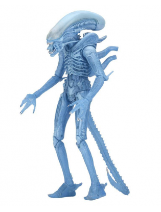 https://truimg.toysrus.com/product/images/neca-aliens-series-11-7-inch-action-figure-warrior-alien-(kenner)--67DA5091.zoom.jpg