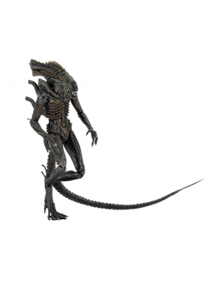 Neca aliens series store 11