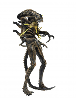 https://truimg.toysrus.com/product/images/neca-aliens-series-12-7-inch-action-figure-xenomorph-warrior-brown-(battle---3E5FB09D.zoom.jpg