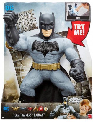 https://truimg.toysrus.com/product/images/dc-comics-justice-league-team-trainers-14-inch-action-figure-batman--252F2E73.pt01.zoom.jpg