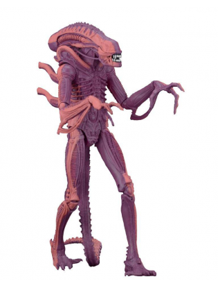 https://truimg.toysrus.com/product/images/neca-aliens-7-inch-scale-action-figure-xenomorph-warrior-(arcade-appearance--8C174494.zoom.jpg