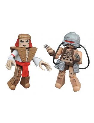 https://truimg.toysrus.com/product/images/marvel-minimates-wave-23-2-inch-action-figure-weapon-x-lady-deathstrike--79E50A78.zoom.jpg