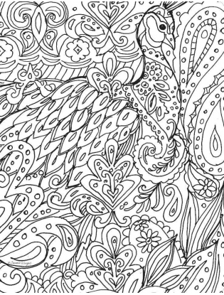 https://truimg.toysrus.com/product/images/bohemian-designs-adult-coloring-book--3D664A69.pt01.zoom.jpg