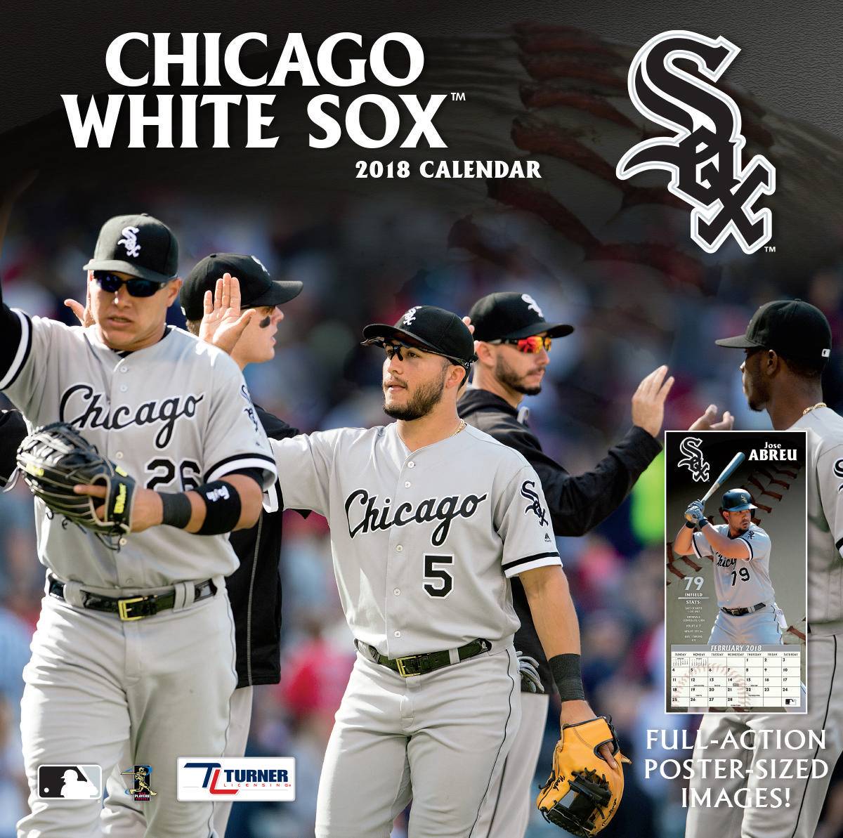 Turner 2018 MLB Chicago White Sox Wall Calendar Играландия интернет
