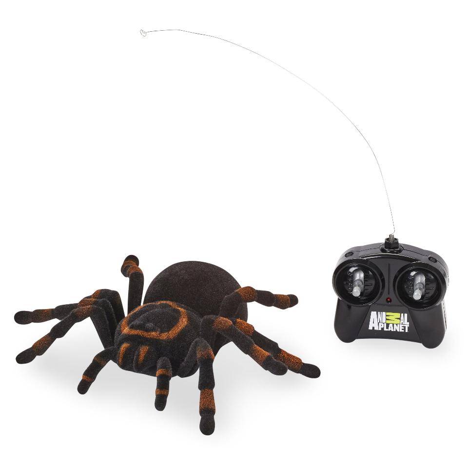 radio control tarantula