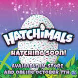 Интерактивное Яйцо -Hatchimals-Pengualas-Spin Master