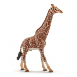 Schleich Male Giraffe Figurine
