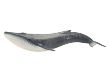Schleich Blue Whale Figurine