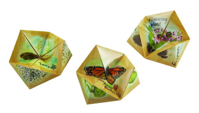 Educational Insights Lifecyclers Butterfly, Frog, And Plant