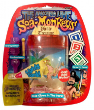 Big Time Toys The Amazing Live Sea-Monkeys Pirate Treasure Kit