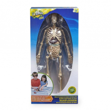 Edu Science Human Anatomy Kit