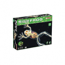 4D Vision Full Skeleton Frog Model