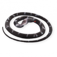 Animal Planet Coiled Black and White Snake