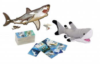 Animal Planet 3-in-1 Shark Gift Set