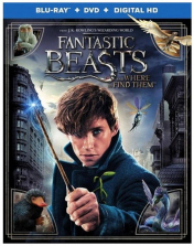 Fantastic Beasts and Where to Find Them Blu-Ray Combo Pack (Blu-Ray/DVD/Digital HD)