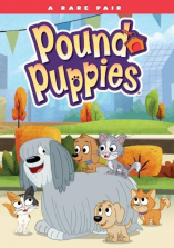 Pound Puppies: Rare Pair DVD