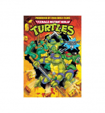 Teenage Mutant Ninja Turtles: Season 9 DVD