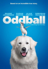 Oddball DVD