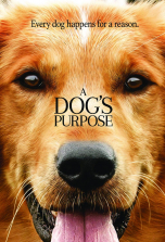 A Dog's Purpose DVD