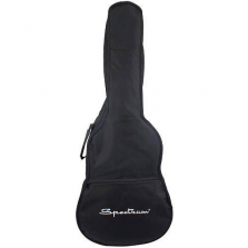 Spectrum AIL AGX Acoustic Guitar Bag with Strings