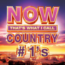 Various Artists: Now That's What I Call Country #1s CD