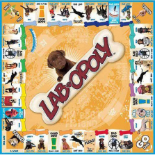 Lab-opoly Board Game