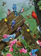 Cobble Hill Jigsaw Puzzle 1000-Piece - Birds of the Forest