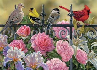 Cobble Hill Jigsaw Puzzle 1000-Piece - Birds on a Fence