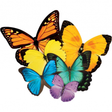 Jigsaw Shaped Puzzle 500 Pieces - Butterflies