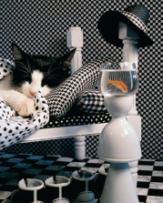 Checkerboard Cat 1000 Piece Jigsaw Puzzle