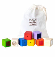 PlanToys Activity Blocks