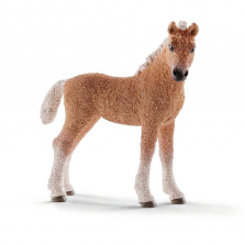 Schleich Bashkir Curly Mare Figurine