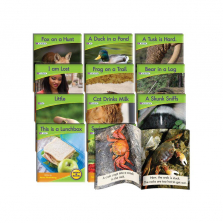 Junior Learning Blend Readers Non-Fiction Learning Set