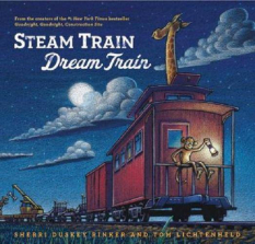 Steam Train, Dream Train Book