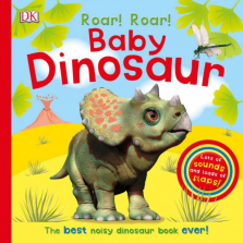 Roar! Roar! Baby Dinosaur Book