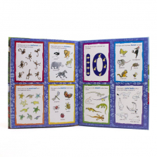 Britannica Kids Animals All Around Look and Find Book