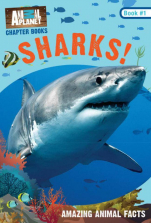 Animal Planet Chapter Books: Sharks!