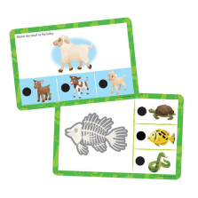 Educational Insights Hot Dots Jr. - Beginning Science