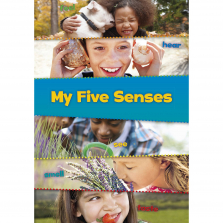 My Five Senses 5 Books Set
