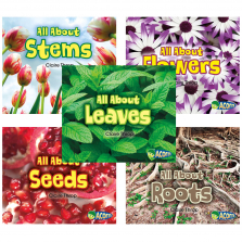 All About Plants 5 Books Set