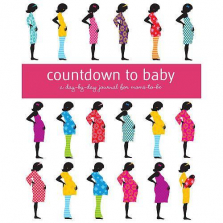 Countdown to Baby Keepsake Journal